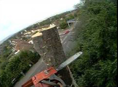 Tree Felling Bingham